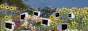 Dreamcore badges